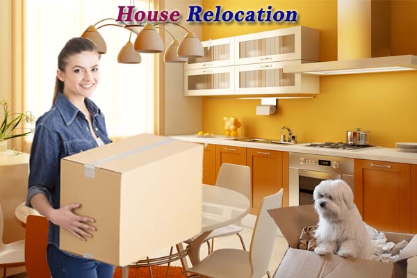 Hindustan Packers and Movers